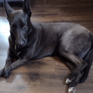 Fundraising Page: Patricia Hill